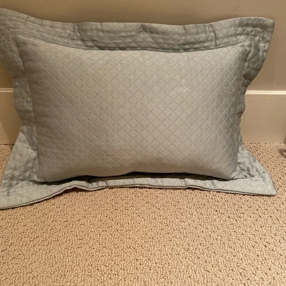 Restoration Hardware Blue Accent Pillow 20x15”